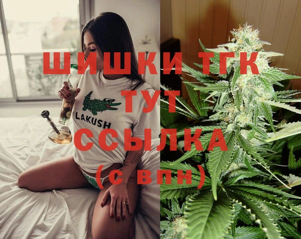 a pvp Новозыбков